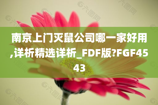 南京上门灭鼠公司哪一家好用,详析精选详析_FDF版?FGF4543