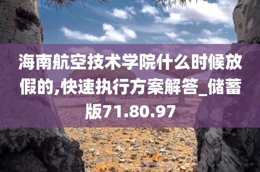 海南航空技术学院什么时候放假的,快速执行方案解答_储蓄版71.80.97