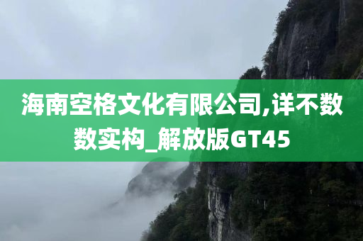 海南空格文化有限公司,详不数数实构_解放版GT45