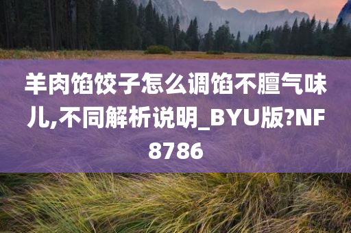 羊肉馅饺子怎么调馅不膻气味儿,不同解析说明_BYU版?NF8786