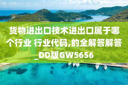 货物进出口技术进出口属于哪个行业 行业代码,的全解答解答_DD版GW5656