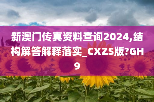 新澳门传真资料查询2024,结构解答解释落实_CXZS版?GH9