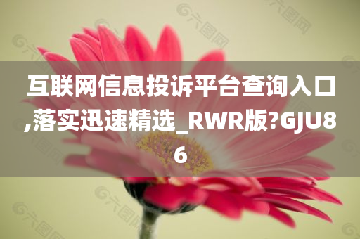 互联网信息投诉平台查询入口,落实迅速精选_RWR版?GJU86