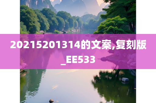 20215201314的文案,复刻版_EE533