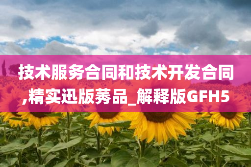 技术服务合同和技术开发合同,精实迅版莠品_解释版GFH5