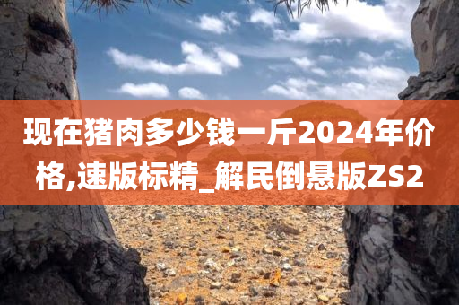 现在猪肉多少钱一斤2024年价格,速版标精_解民倒悬版ZS2