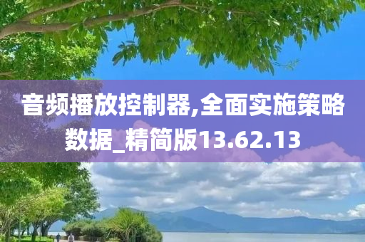 音频播放控制器,全面实施策略数据_精简版13.62.13