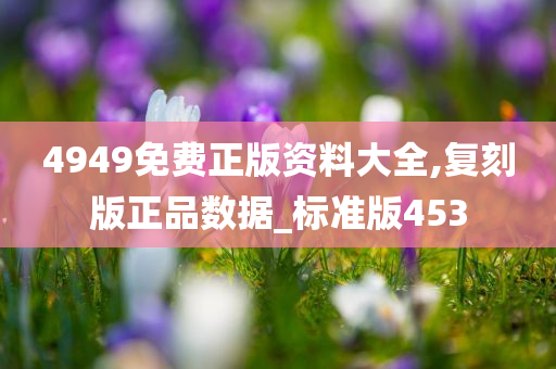 4949免费正版资料大全,复刻版正品数据_标准版453