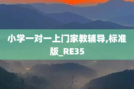 小学一对一上门家教辅导,标准版_RE35