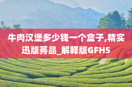 牛肉汉堡多少钱一个盒子,精实迅版莠品_解释版GFH5