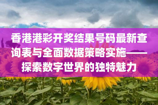 香港港彩开奖结果号码最新查询表与全面数据策略实施——探索数字世界的独特魅力