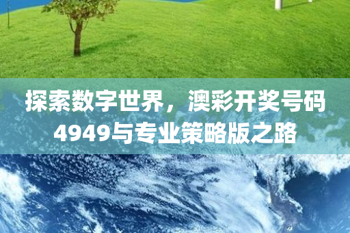 探索数字世界，澳彩开奖号码4949与专业策略版之路