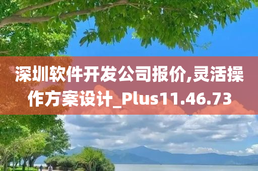 深圳软件开发公司报价,灵活操作方案设计_Plus11.46.73