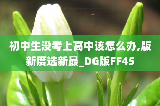 初中生没考上高中该怎么办,版新度选新最_DG版FF45