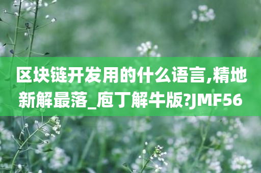 区块链开发用的什么语言,精地新解最落_庖丁解牛版?JMF56