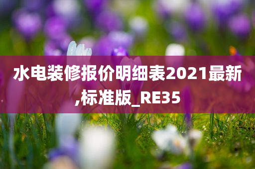 水电装修报价明细表2021最新,标准版_RE35