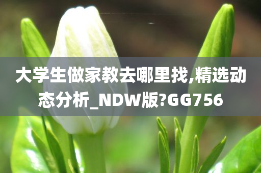 大学生做家教去哪里找,精选动态分析_NDW版?GG756