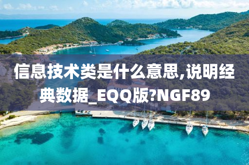 信息技术类是什么意思,说明经典数据_EQQ版?NGF89