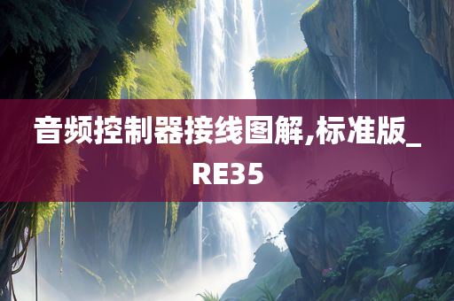 音频控制器接线图解,标准版_RE35