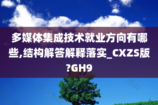 多媒体集成技术就业方向有哪些,结构解答解释落实_CXZS版?GH9