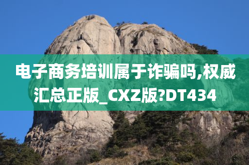 电子商务培训属于诈骗吗,权威汇总正版_CXZ版?DT434