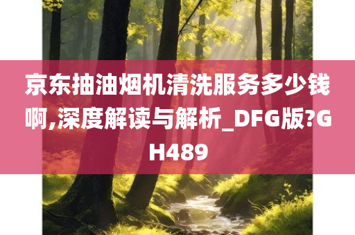 京东抽油烟机清洗服务多少钱啊,深度解读与解析_DFG版?GH489