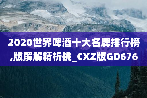 2020世界啤酒十大名牌排行榜,版解解精析挑_CXZ版GD676