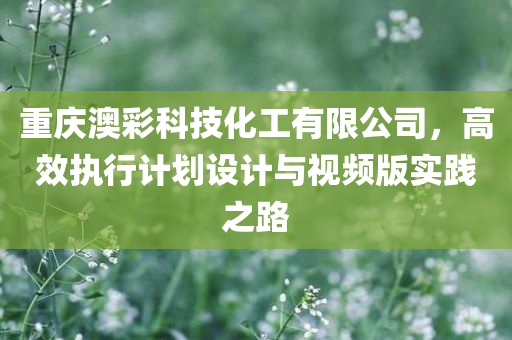 重庆澳彩科技化工有限公司，高效执行计划设计与视频版实践之路