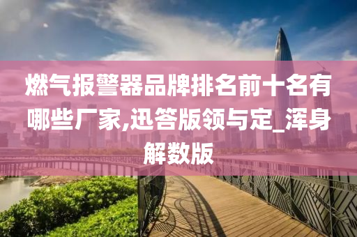 燃气报警器品牌排名前十名有哪些厂家,迅答版领与定_浑身解数版