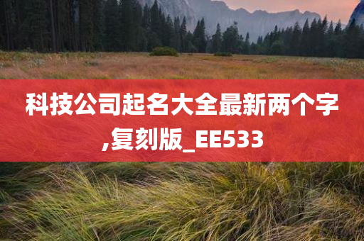 科技公司起名大全最新两个字,复刻版_EE533