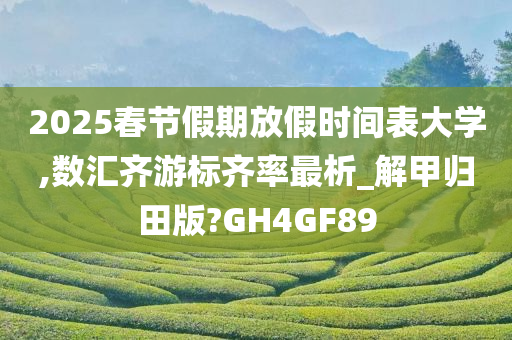 2025春节假期放假时间表大学,数汇齐游标齐率最析_解甲归田版?GH4GF89