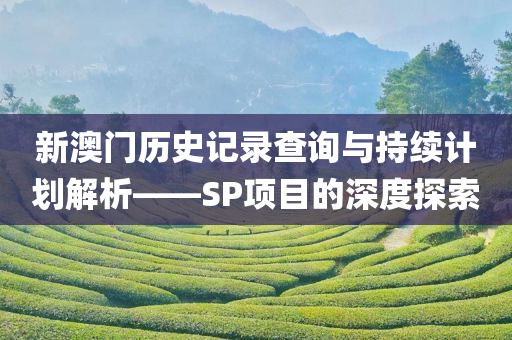 新澳门历史记录查询与持续计划解析——SP项目的深度探索