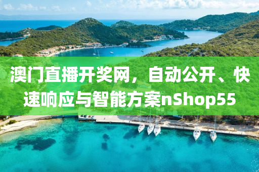 澳门直播开奖网，自动公开、快速响应与智能方案nShop55