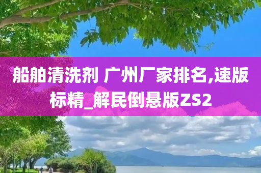 船舶清洗剂 广州厂家排名,速版标精_解民倒悬版ZS2