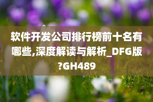 软件开发公司排行榜前十名有哪些,深度解读与解析_DFG版?GH489