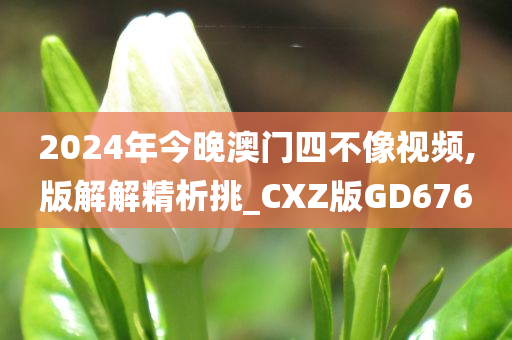 2024年今晚澳门四不像视频,版解解精析挑_CXZ版GD676