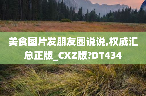 美食图片发朋友圈说说,权威汇总正版_CXZ版?DT434