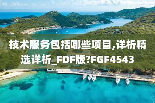 技术服务包括哪些项目,详析精选详析_FDF版?FGF4543