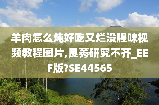 羊肉怎么炖好吃又烂没腥味视频教程图片,良莠研究不齐_EEF版?SE44565