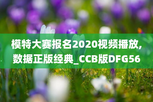 模特大赛报名2020视频播放,数据正版经典_CCB版DFG56