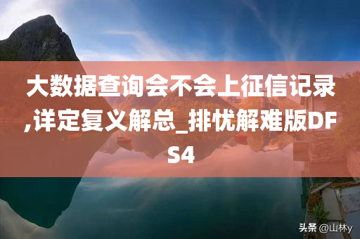 大数据查询会不会上征信记录,详定复义解总_排忧解难版DFS4