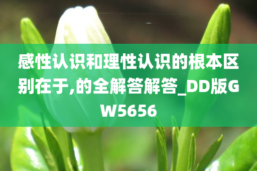 感性认识和理性认识的根本区别在于,的全解答解答_DD版GW5656