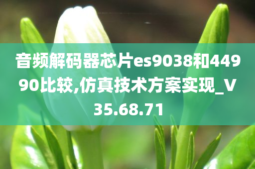 音频解码器芯片es9038和44990比较,仿真技术方案实现_V35.68.71