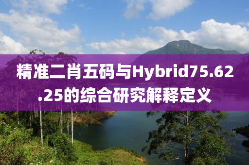 精准二肖五码与Hybrid75.62.25的综合研究解释定义