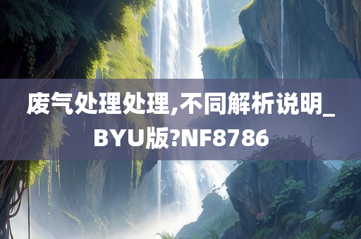 废气处理处理,不同解析说明_BYU版?NF8786