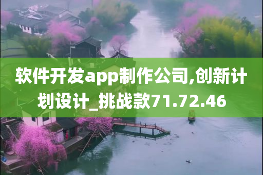 软件开发app制作公司,创新计划设计_挑战款71.72.46