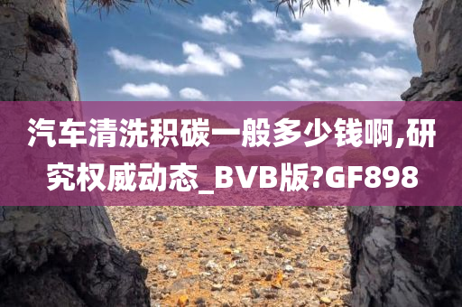 汽车清洗积碳一般多少钱啊,研究权威动态_BVB版?GF898