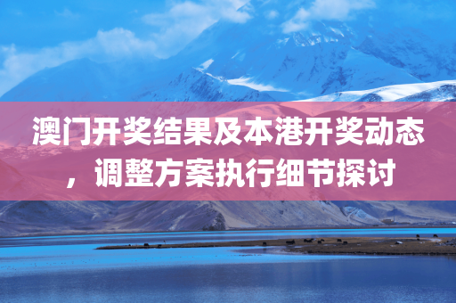 澳门开奖结果及本港开奖动态，调整方案执行细节探讨