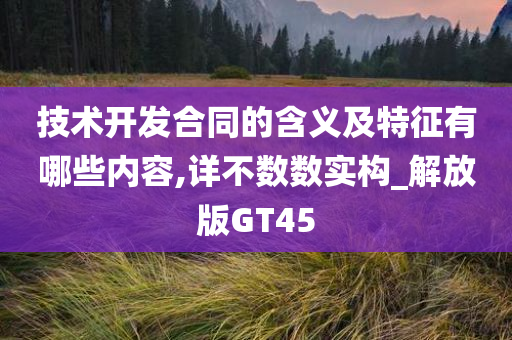 技术开发合同的含义及特征有哪些内容,详不数数实构_解放版GT45