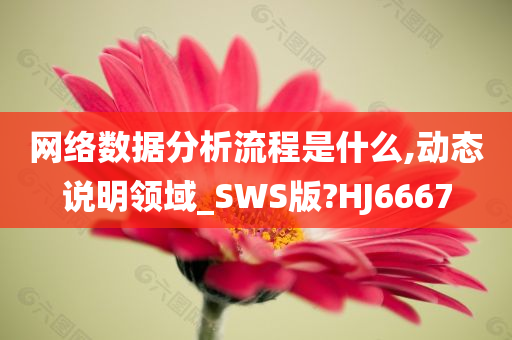 网络数据分析流程是什么,动态说明领域_SWS版?HJ6667